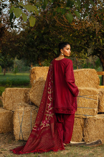 Saira Rizwan Esper-SRW24-05 Online Shopping